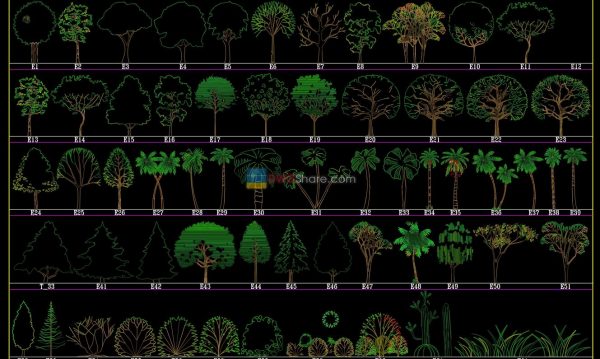 Trees in elevation 3 AutoCAD blocks free download