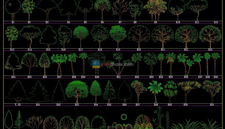 Trees in elevation 3 AutoCAD blocks free download