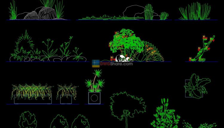 10.Trees in elevation AutoCAD blocks free download