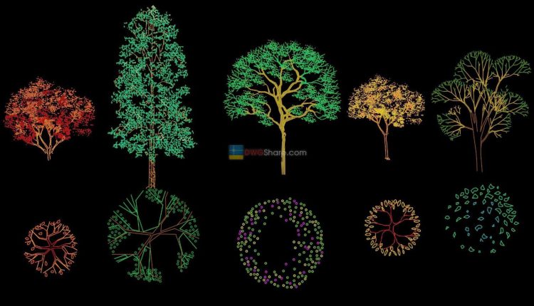11.Trees in elevation AutoCAD blocks free download