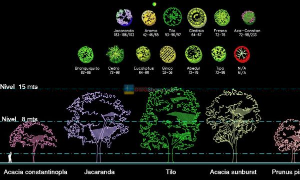 5 years ago
                

                
             3,42312.Trees AutoCAD blocks free download