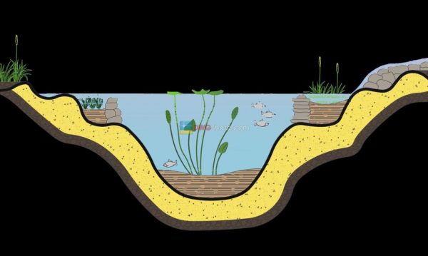 12.Aquarium CAD blocks detail elevation layout autocad file