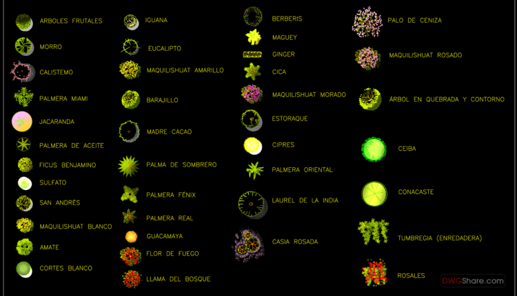 22.A set of trees and shrubs color top view AutoCAD blocks
