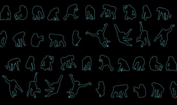 6.Chimpanzees AutoCAD Blocks Free Download