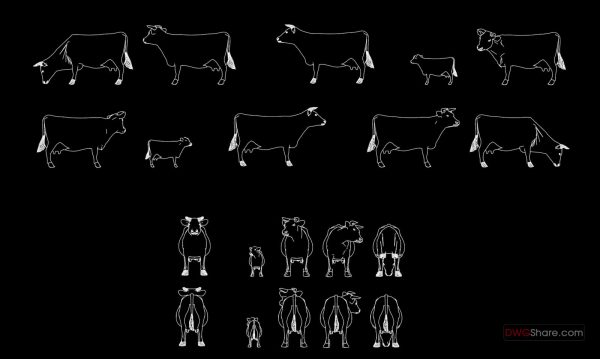 8.Cows free AutoCAD drawings