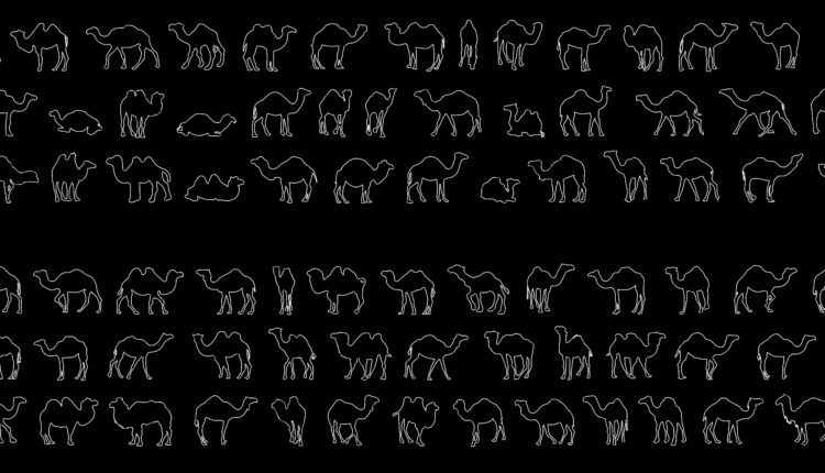 9.Camels free AutoCAD drawings