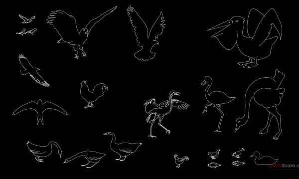 10.Birds free AutoCAD drawings