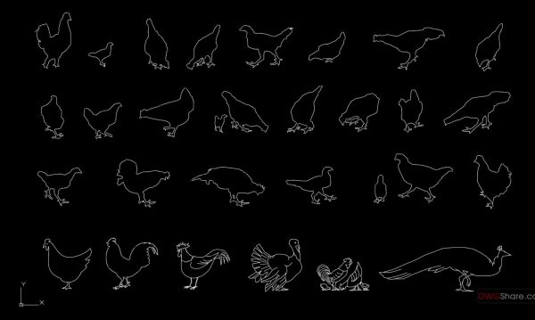 11.Birds set free AutoCAD drawings