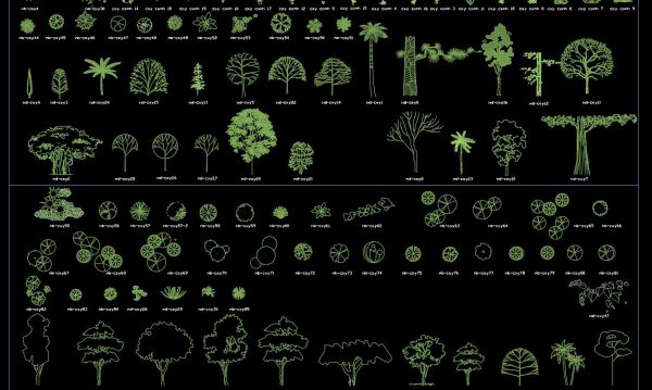 4 years ago
                

                
             16,36130.Trees AutoCAD blocks free download