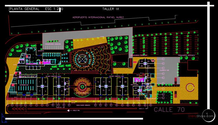 International Airport Landside Design Autocad Drawing DWG