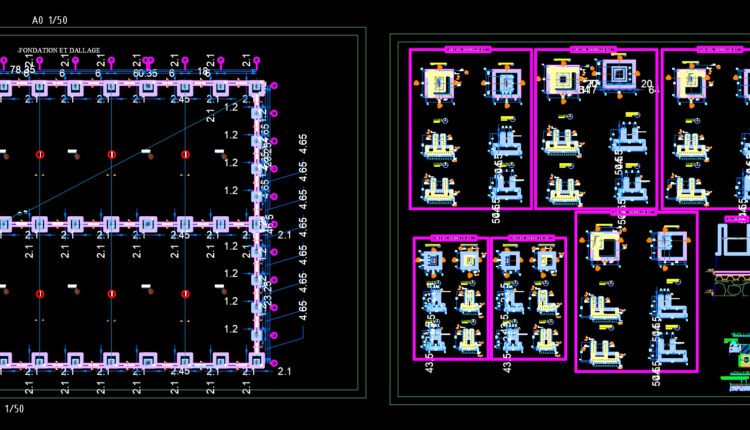 27.Plant Of Fruit Conservation Autocad DWG File