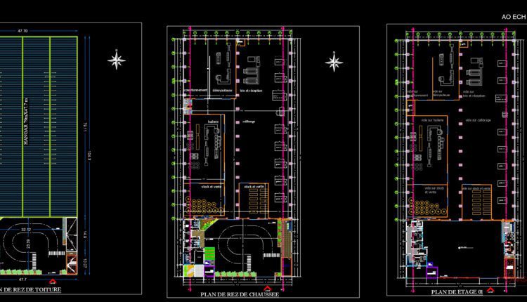 27.Plant Of Fruit Conservation Autocad DWG File