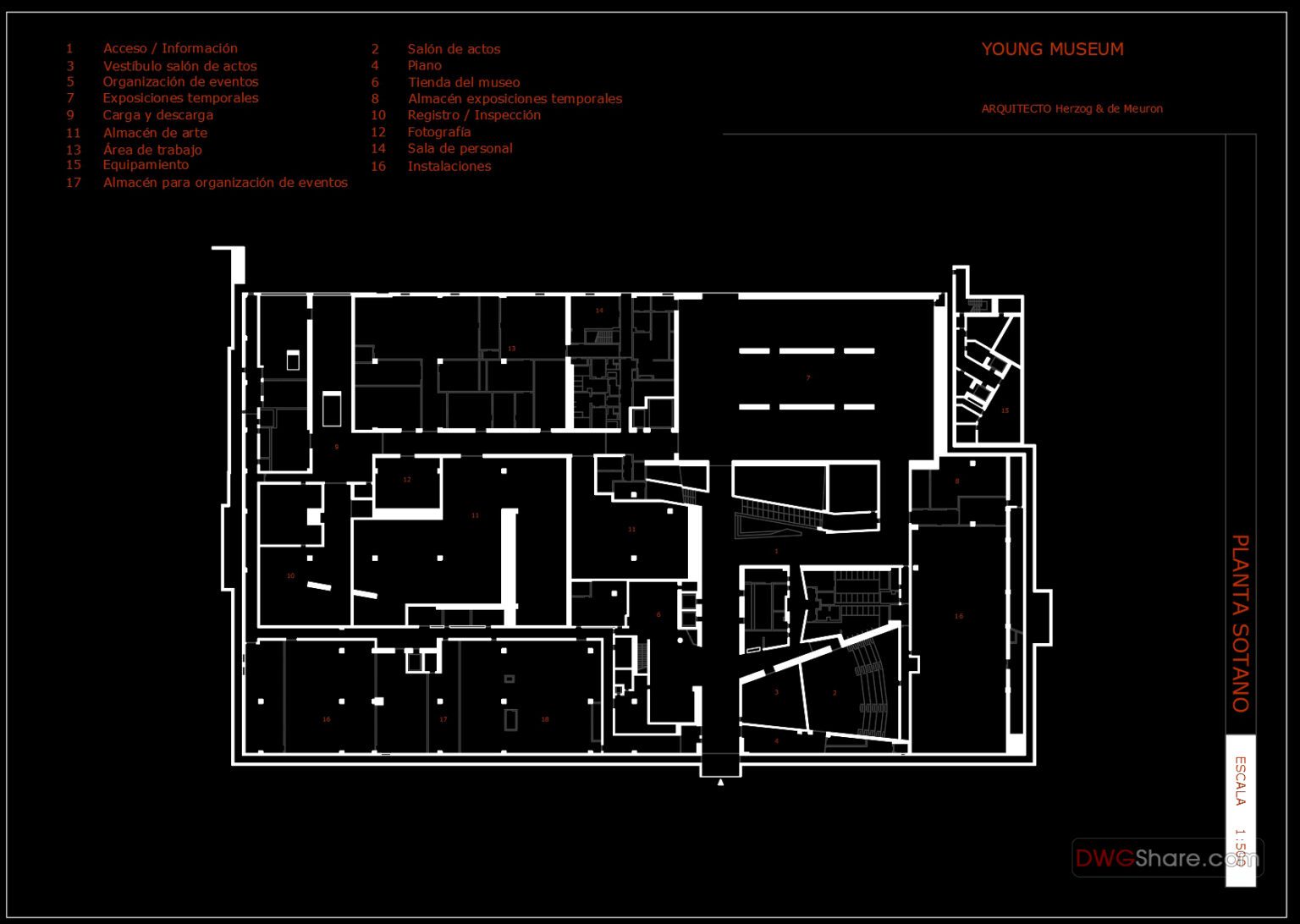 Young museum AutoCAD File DWG