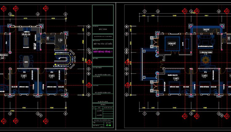 2 Levels Classic Villa 11.3×17.5m AutoCAD File Free Download