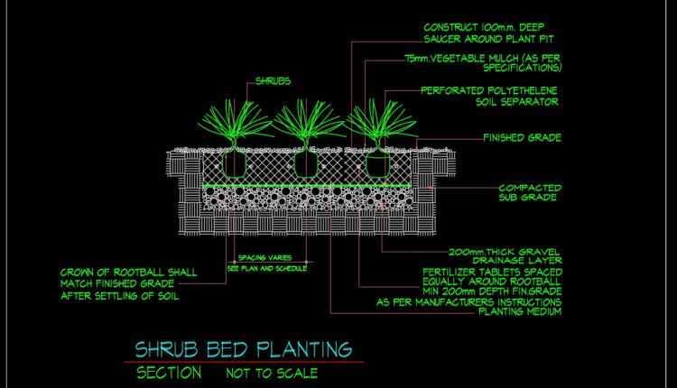 75.Autocad Drawing Of Shrub Bed Planting Details For Free Download