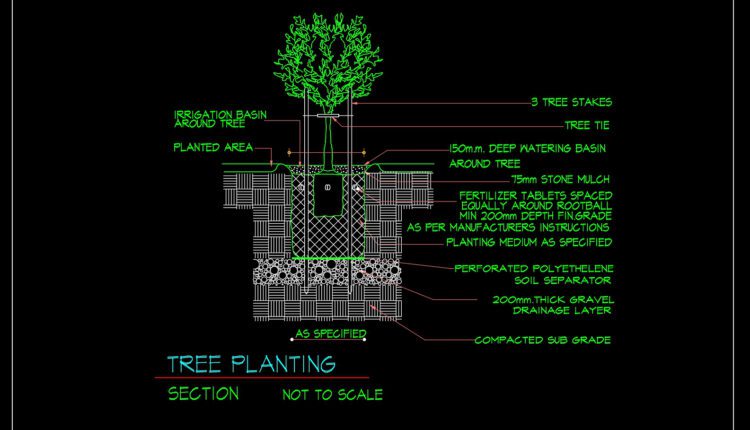 76.Tree Planting Details CAD