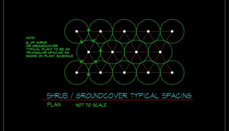 77.Autocad Drawing Of Shrub – Groundcover Typical Spacing For Free Download