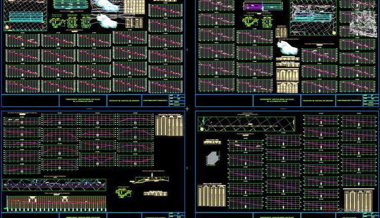 Aeropuerto Capitan Oriel Lea Plaza Autocad DWG File