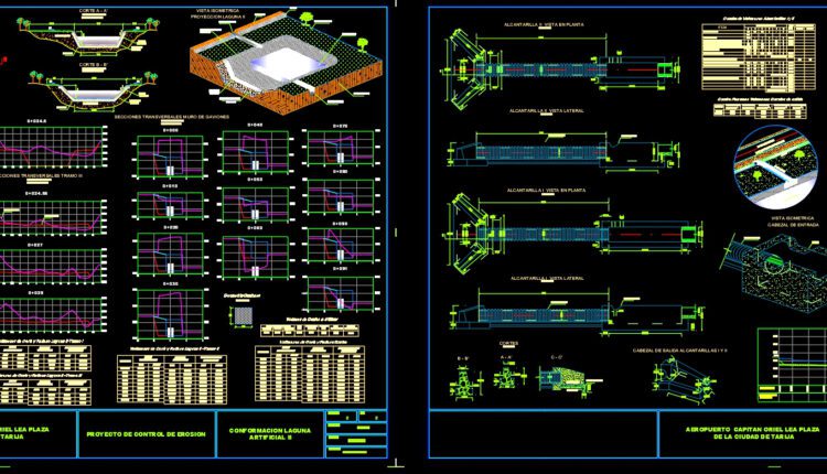 Aeropuerto Capitan Oriel Lea Plaza Autocad DWG File