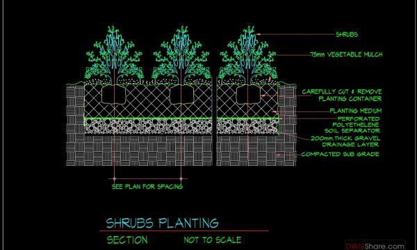 79.Autocad Drawing Of Shrubs Planting Details For Free Download