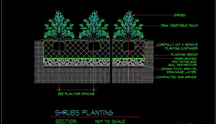 79.Autocad Drawing Of Shrubs Planting Details For Free Download