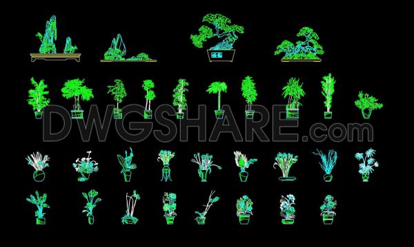 3 years ago
                

                
             9,56338.Autocad drawings of various types of bonsai trees