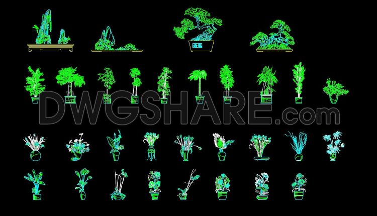 38.Autocad drawings of various types of bonsai trees