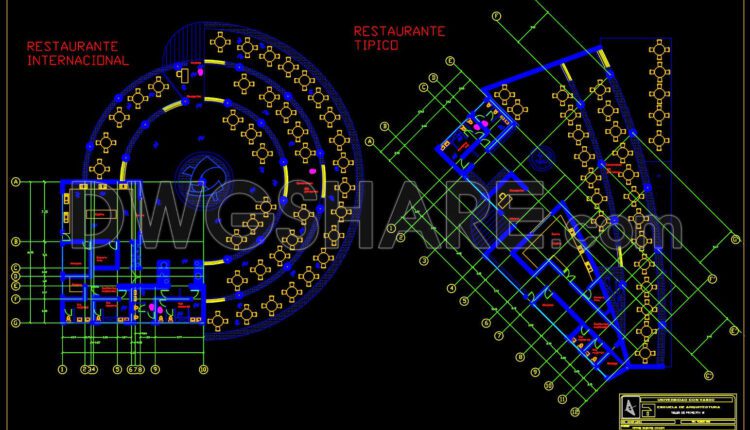 Included are AutoCAD drawings of the functional layouts for the hotel