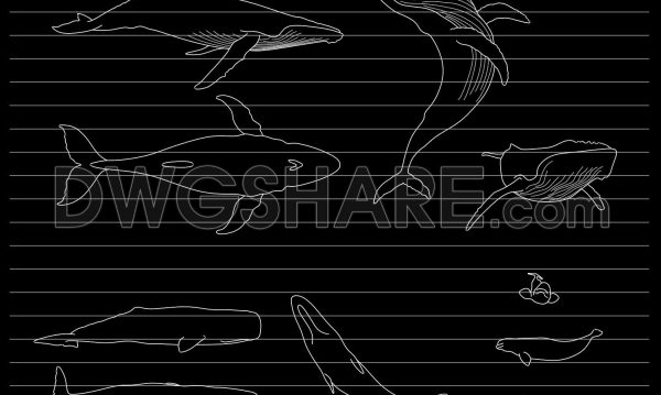 21. Free Description of a CAD Drawing of a Dolphin