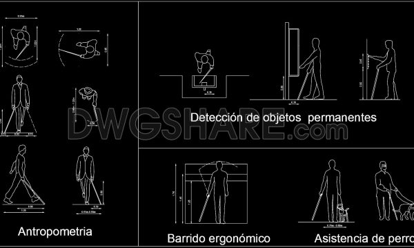 2 years ago
                

                
             806101. Antropometria no videntes in detail CAD drawing