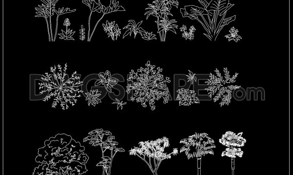 2 years ago
                

                
             2,363342. CAD File Plants and Trees