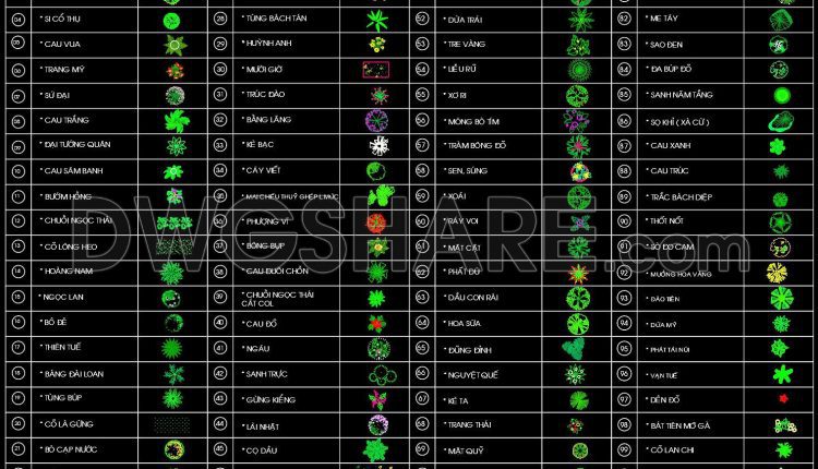 49. Free download CAD blocks of plan-view trees, clearly named according to Vietnamese standards (1)