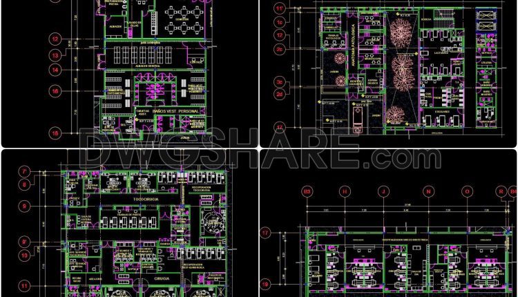 54. Download A Complete Architectural Cad Drawing Set For A Large Hospital Complex With Multiple Wards (3)