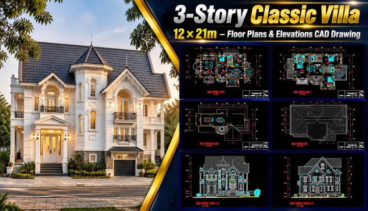 612.-3-story-classic-villa-12-_-21m-floor-plans-elevations-cad-drawing-1